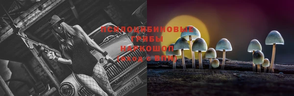 прущие грибы Аша