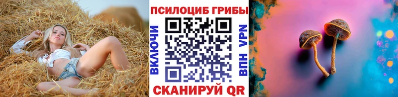 цены   Бронницы  Псилоцибиновые грибы Magic Shrooms 
